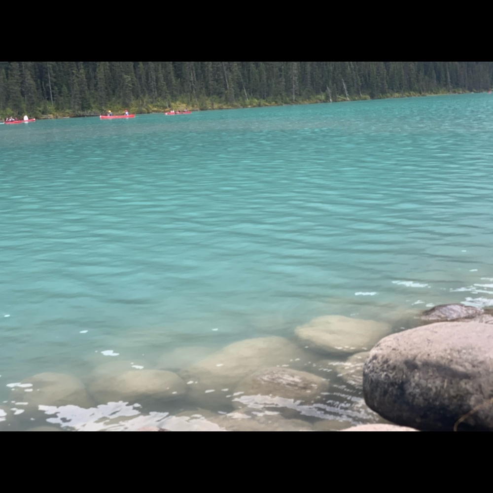 Meet your Posher, Devika